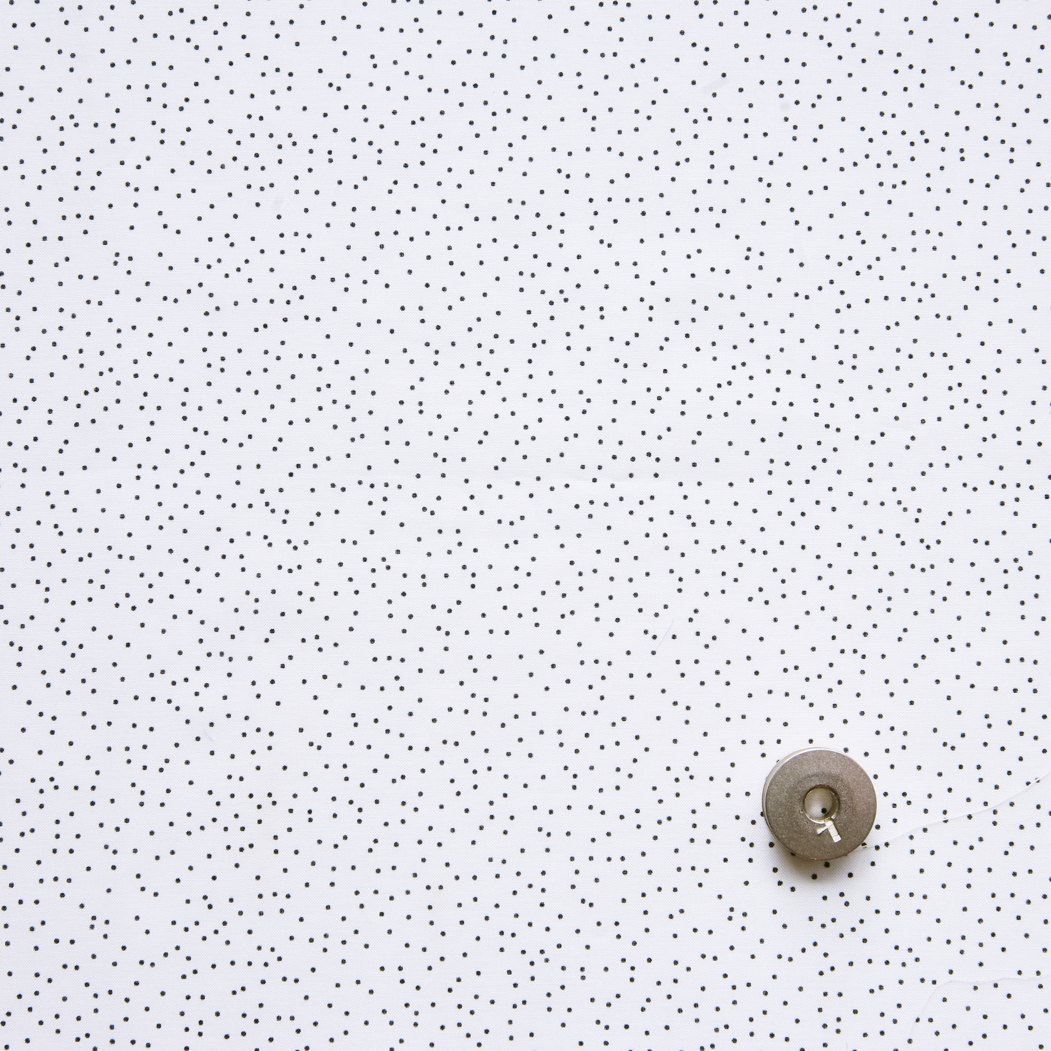 Particle Dot -White-