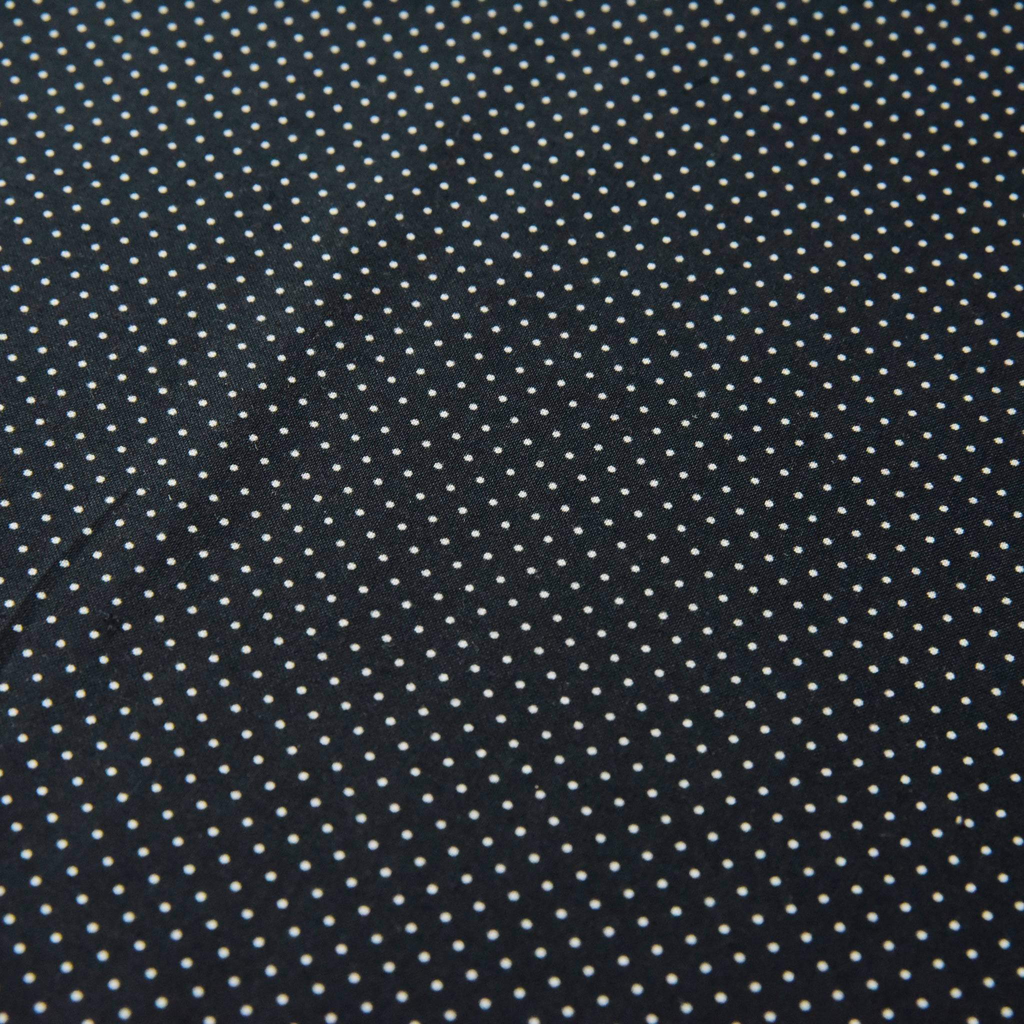 Minimum Dot -Black-