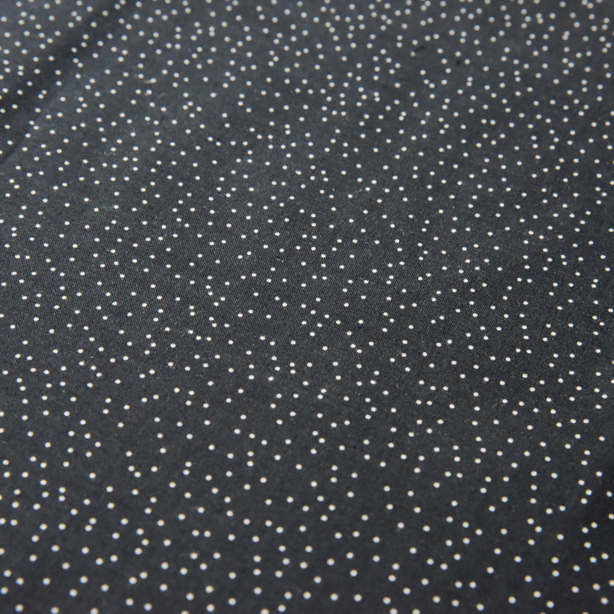 Particle Dot -black-