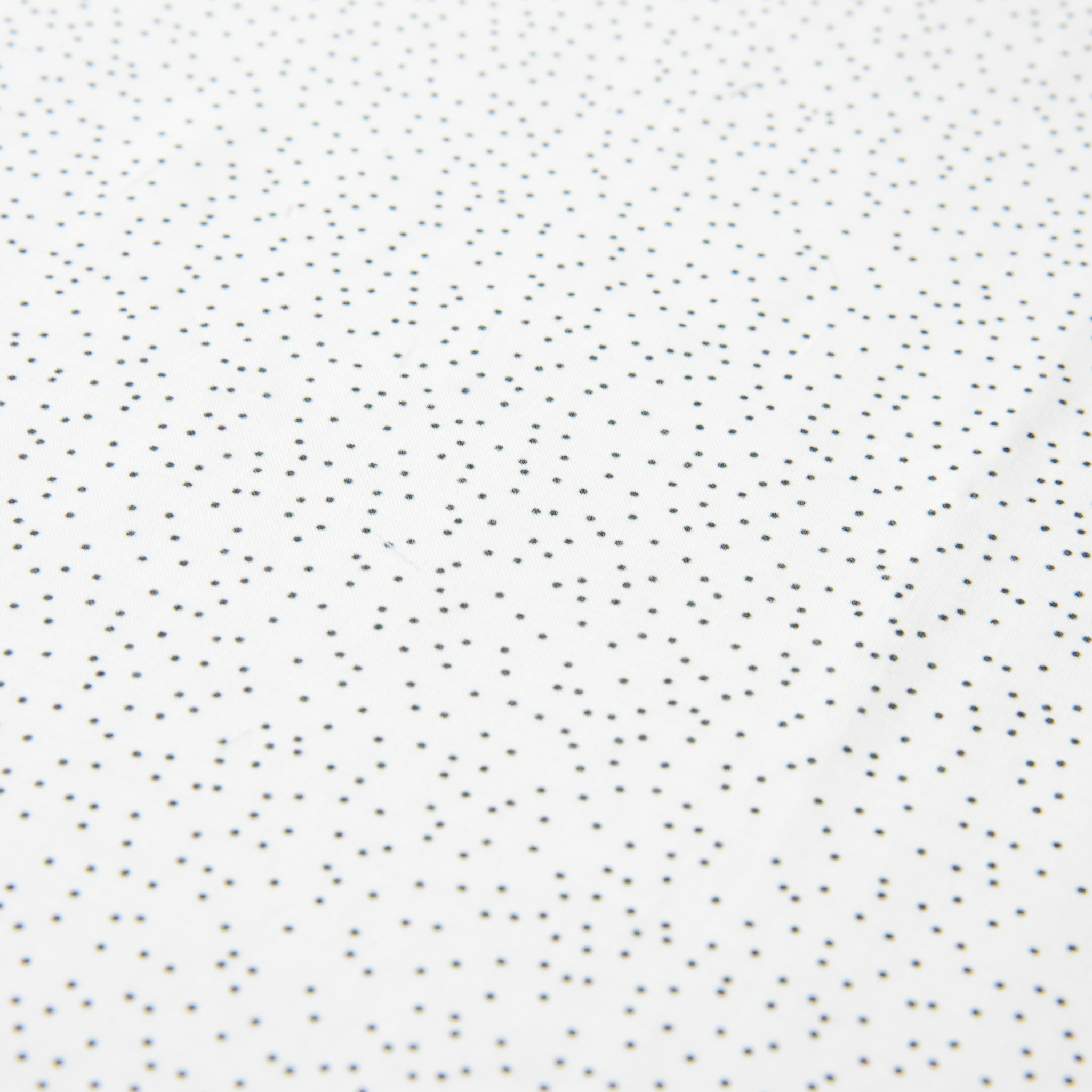 Particle Dot -White-